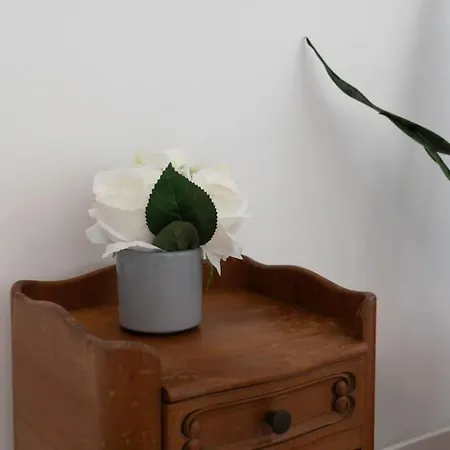 L55 2p Jean Medecin 10 Min A Pied Vieux Nice