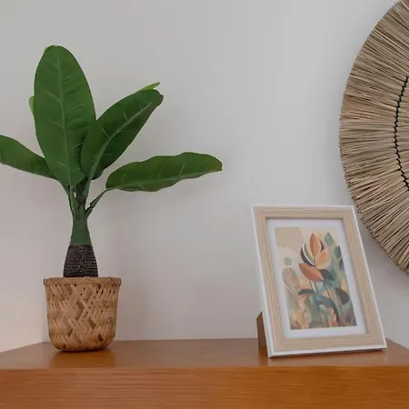 Apartman Cosy And Hyper Jean Medecin